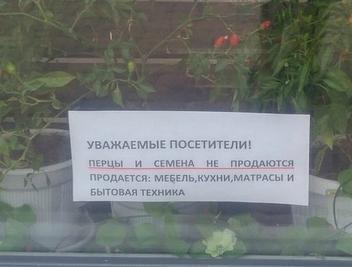 Крик души. Крик души.