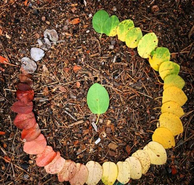 Таким мы его не видели: 10 фотографий, показывающих мир с незнакомой нам стороны