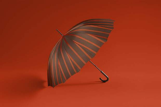 Популярный российский бренд начал продавать зонты за 96 тысяч рублей
