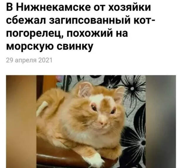 Странные и кликбейтные заголовки из СМИ