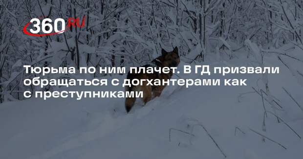 Депутат Бурматов назвал убийц собак выродками, подонками и преступниками