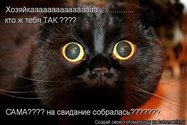 Хозяйкаааааааааааааааа................. кто ж тебя ТАК ???? САМА???? на свидание собралась???????