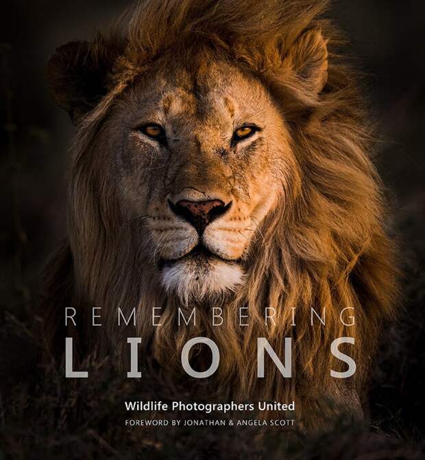 Презентация книги "Remembering Lions" ожидается в октябре 2019 года в Лондоне дикая природа, дикие животные, животные, лучшие фото, львы, подборка, фото, хищники