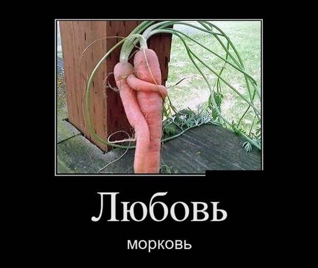 Интересные демотиваторы на начало дня (11 фото) Интересные демотиваторы на начало дня (11 фото)