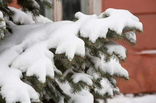 В Тульской области к концу воскресенья ожидаются мощные снегопады и метели