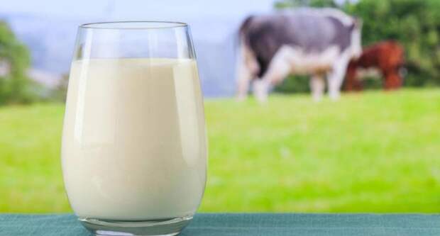 Гликемический индекс молока и молочных продуктов. Молоко коровье: польза и вред