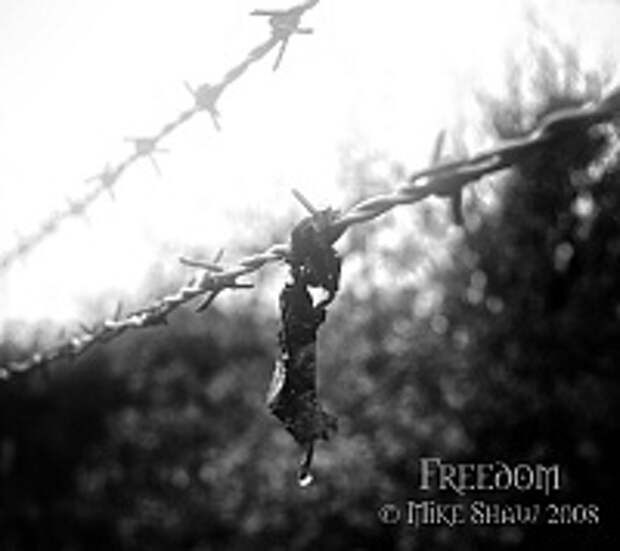 ФОТОГРАФ MIKE SHAW 2