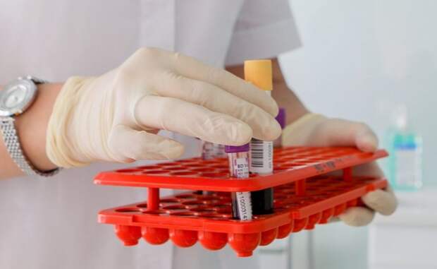 Тестирование на иммунитет к коронавирусу началось в поликлинике на Соколе Фото с сайта mos.ru