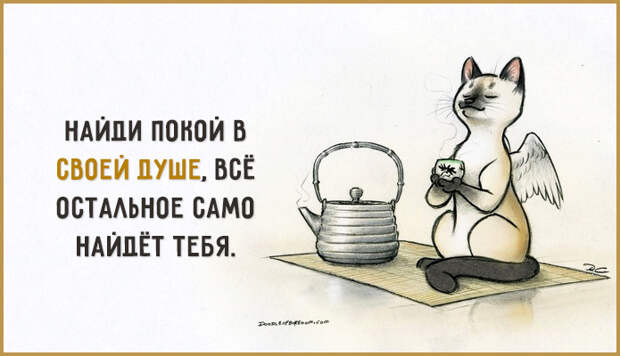Совет дня