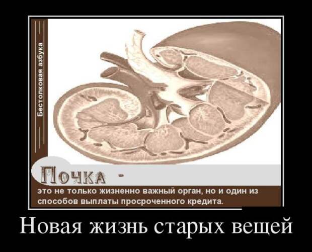 Пятничные демотиваторы свежие и веселые (11 фото) Пятничные демотиваторы свежие и веселые (11 фото)