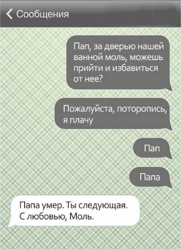 https://cdn.umbrella.green/wp-content/uploads/2016/12/14-48.jpg