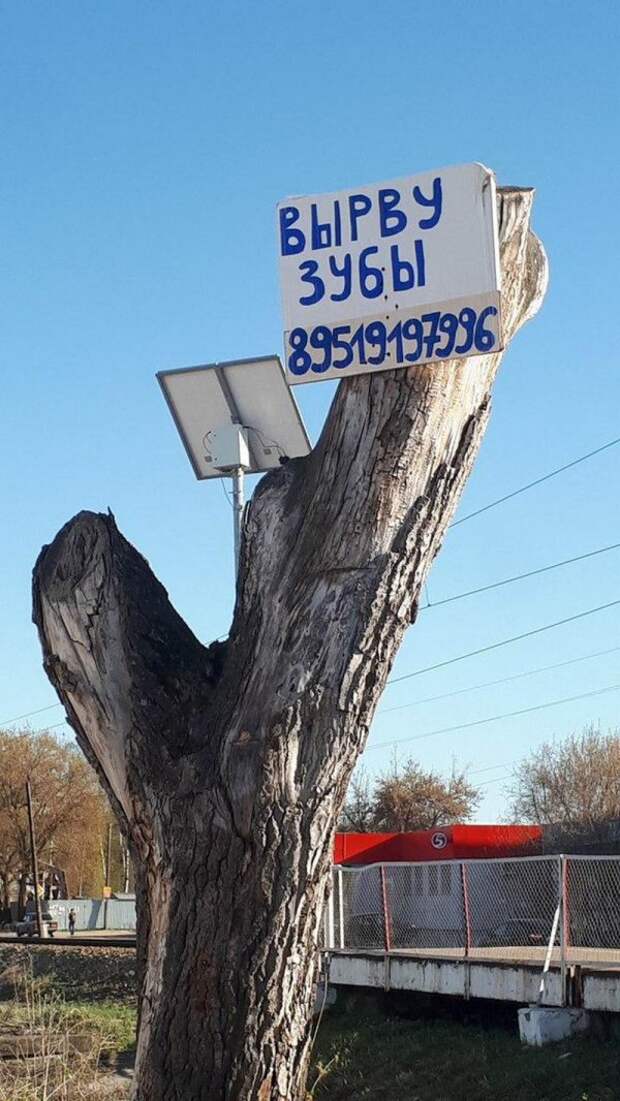 ассорти из картинок