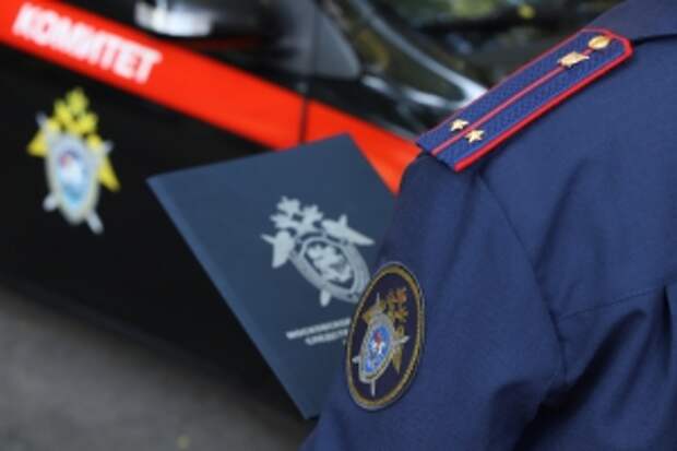 В центральный аппарат ведомства будет представлен доклад о расследовании преступных действий в отношении пожилых граждан в городе Балашихе Московской области