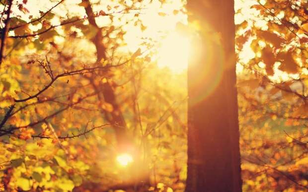 Осеннее солнце и ваша кожа