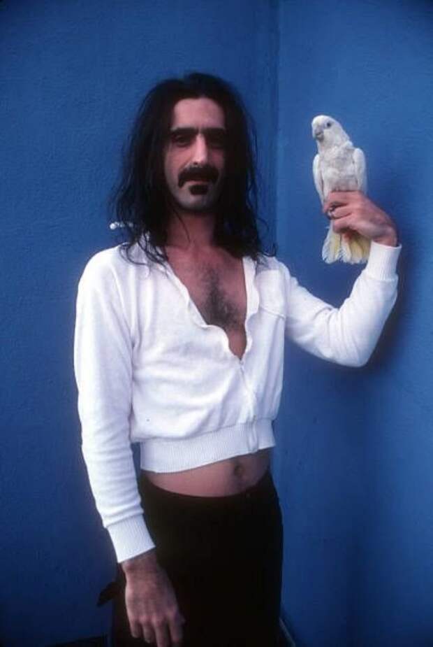 Frank Zappa звёзды, знаменитости, рок звёзды, фотография
