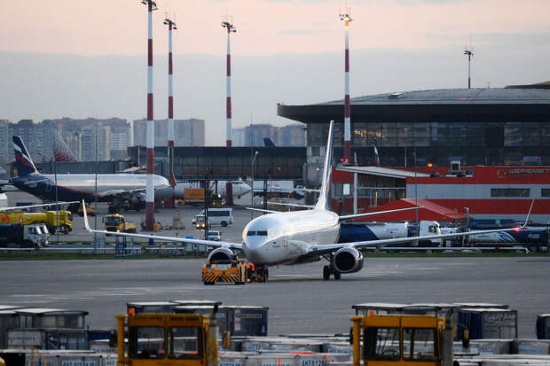 Шереметьево в 2025 году принял более 520 тонн грузов с живыми животными