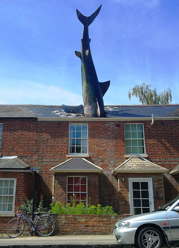 Акула, Оксфорд, Великобритания.