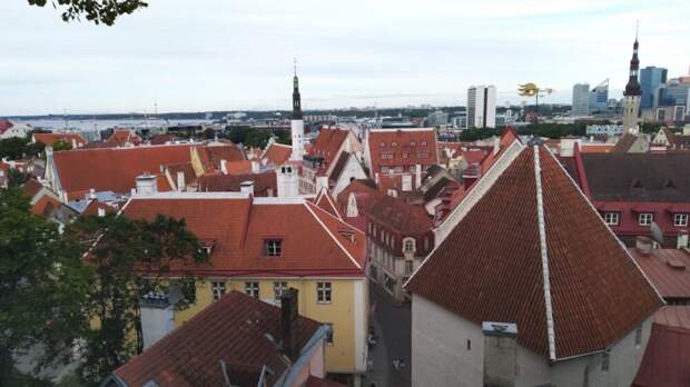 ERR: Эстония с 2027 года запретит россиянам и белорусам без ВНЖ покупать жилье