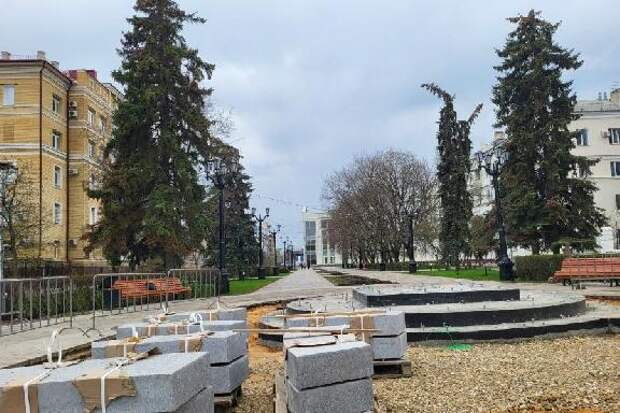 В Тамбове на улице Державинской вместо 12 старых высадят 24 крупномерные ели