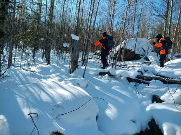 Спасатели завершили повторные поиски семьи Усольцевых, результатов нет