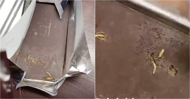 Жительница Краснодара купила в популярном супермаркете шоколад с червями