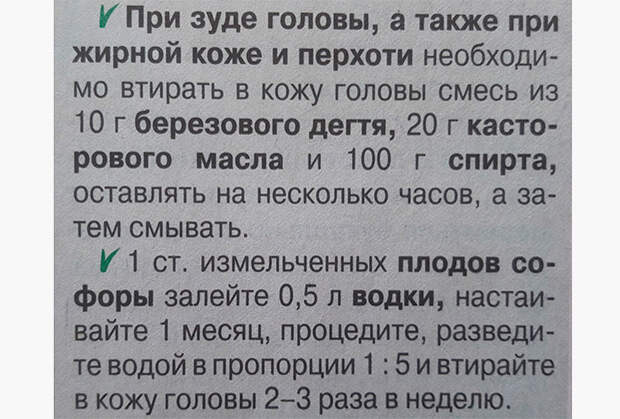 Когда зудит голова, но месяц ждешь, пока софора настоится на водке