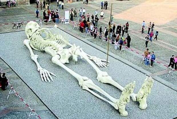 28-метровый скелет, выставленный в Национальной галерее современного искусства в Риме, создан художником Джино Де Доминиси.