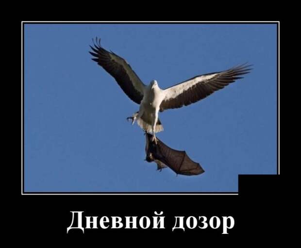 www.vsyako.net
