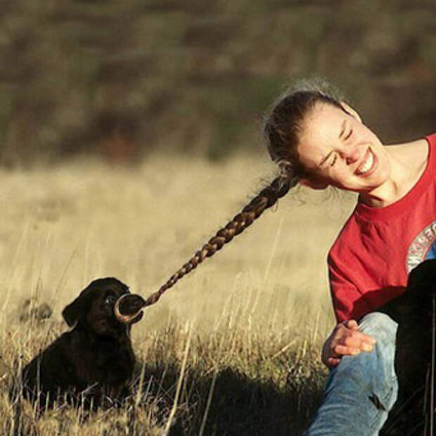 Что делать, если щенок постоянно кусается?