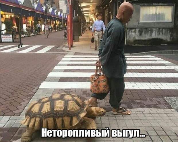 Подборка картинок. Вечерний выпуск (50 фото)