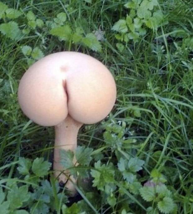 Не толькол прикольные фото но и фразы.