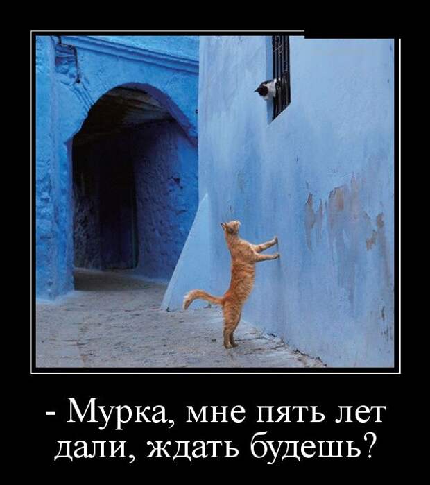 Демотиваторы (30 фото)