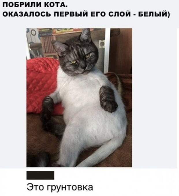 1576888230_kartinki-24.jpg