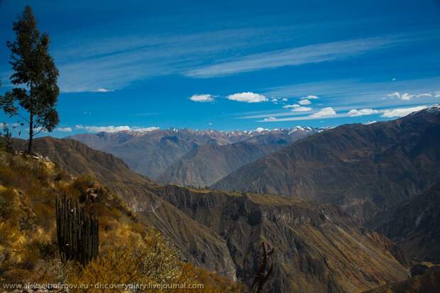 Спускаемся в глубочайший каньон на Земле colca17 Спускаемся в глубочайший каньон на Земле