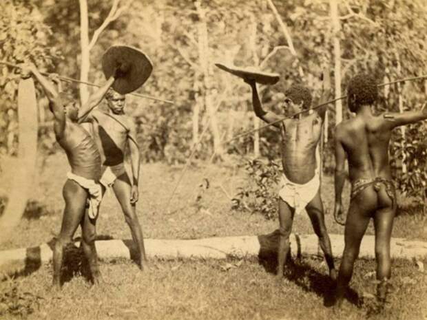 Битва - это искусство. Крайний Северный Квинсленд, конец 1800-х гг. Обычаи и традиции народов мира, аборигены, австралия, архивные снимки, архивные фотографии, бушмены, познавательно, туземцы