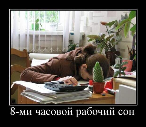 Новые демотиваторы. Очень прикольная подборка.