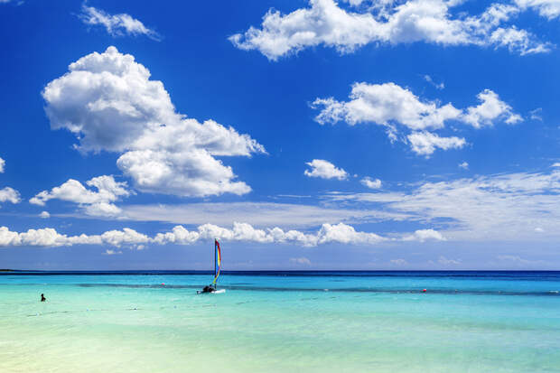 SIM-794726.jpg SIM-794726.jpg