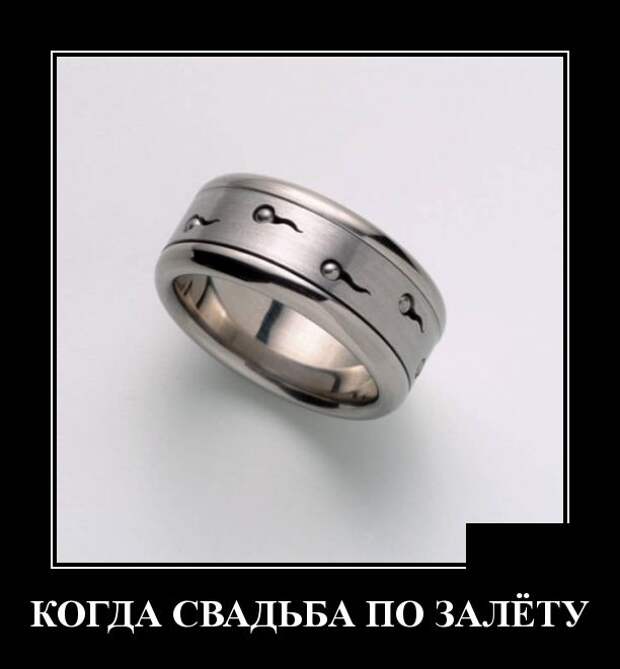 Демотиваторы (30 фото)