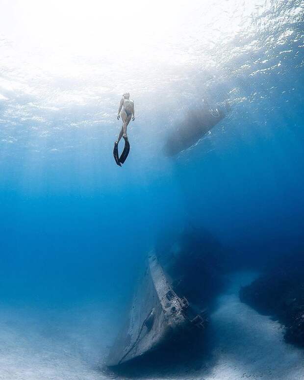 Удивительные фотографии, которые были сняты под водой красивые фотографии, под водой, подводные фотографии, подводный мир