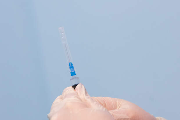 В Туле выявили двух клещей с анаплазмозом