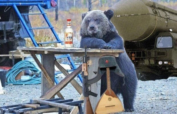 Картинки по запросу пьяный медведь