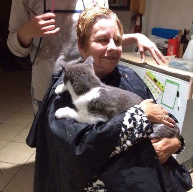 Без кота и жизнь не та
