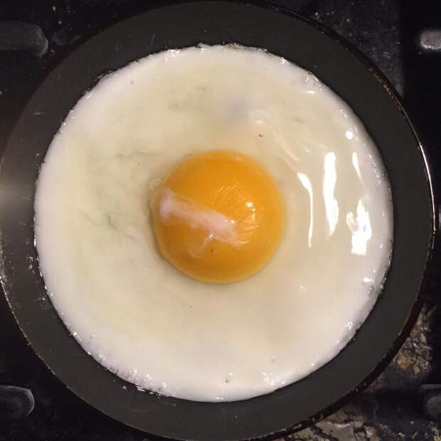 Впечатляющие снимки диковинной еды, которую даже жалко есть