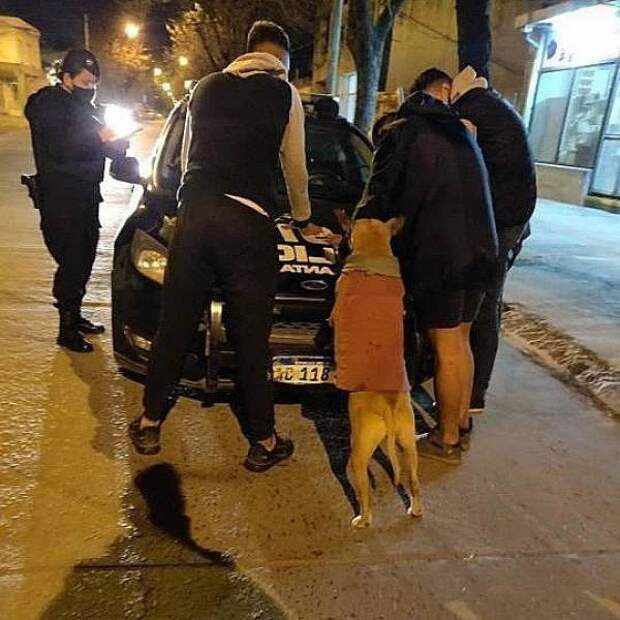 Подборка прикольных картинок