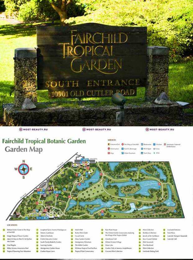 Самые красивые парки мира: Fairchild Tropical Garden