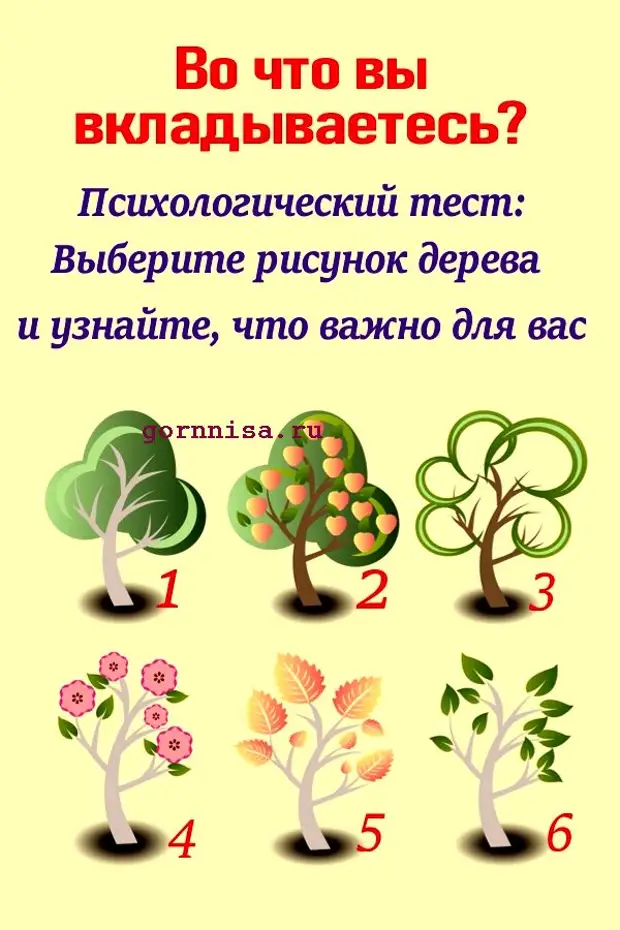 Тесты по картинкам на будущее с расшифровкой