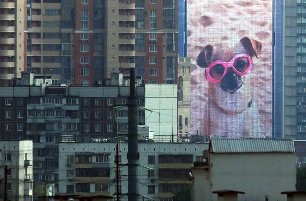 Стало известно о о новых требованиях к рекламе энергетиков