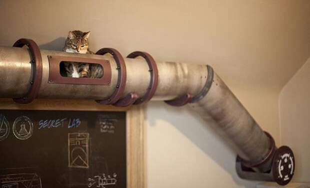 Котодизайн