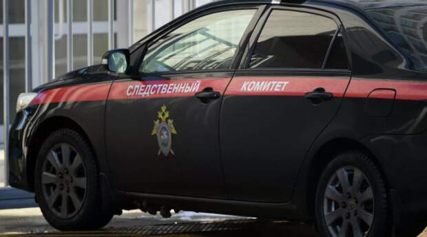 Задержанные за телефонный терроризм школьники из Красноярска хотели сорвать контрольную