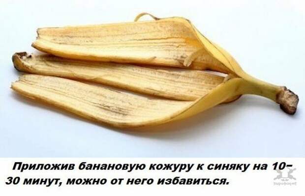 Интересные факты Интересные факты